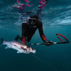 Arma Pathos Wave Evo + Carreto